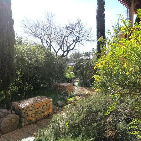 T2 36 M2, Rdc De Villa, Clim, Gd Jardin Clos, Animx Ok, Quartier Mt Faron Tres Calme, Wifi, Parking Toulon Exterior photo