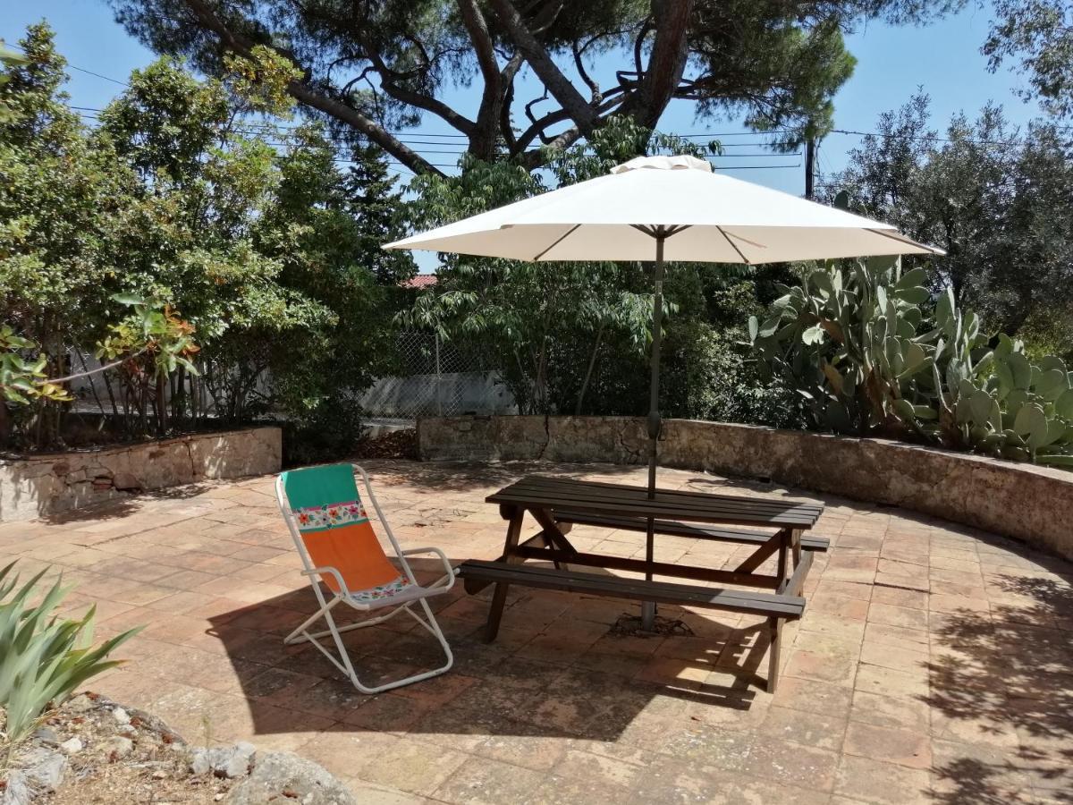 T2 36 M2, Rdc De Villa, Clim, Gd Jardin Clos, Animx Ok, Quartier Mt Faron Tres Calme, Wifi, Parking Toulon Exterior photo