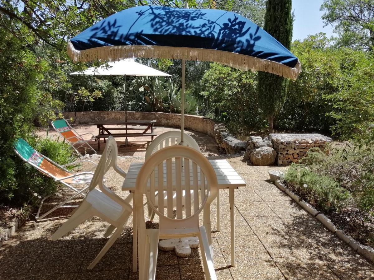 T2 36 M2, Rdc De Villa, Clim, Gd Jardin Clos, Animx Ok, Quartier Mt Faron Tres Calme, Wifi, Parking Toulon Exterior photo